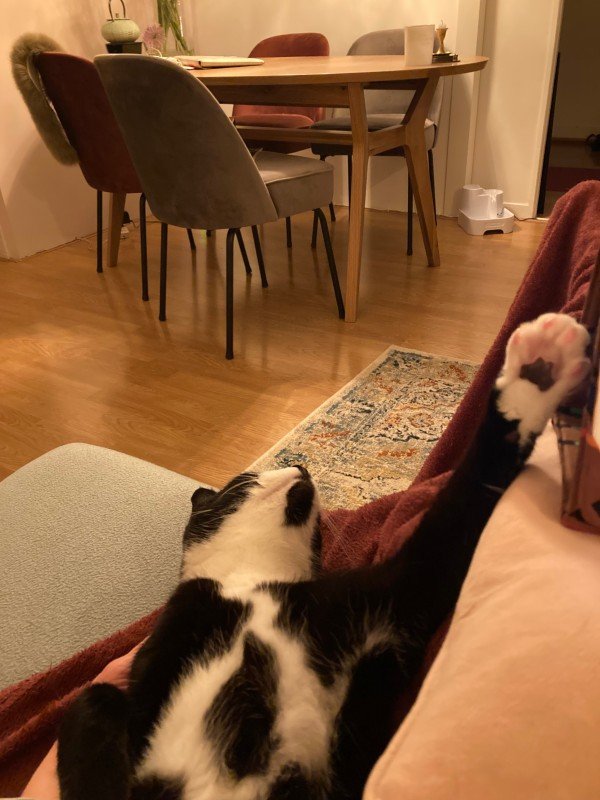 Otis