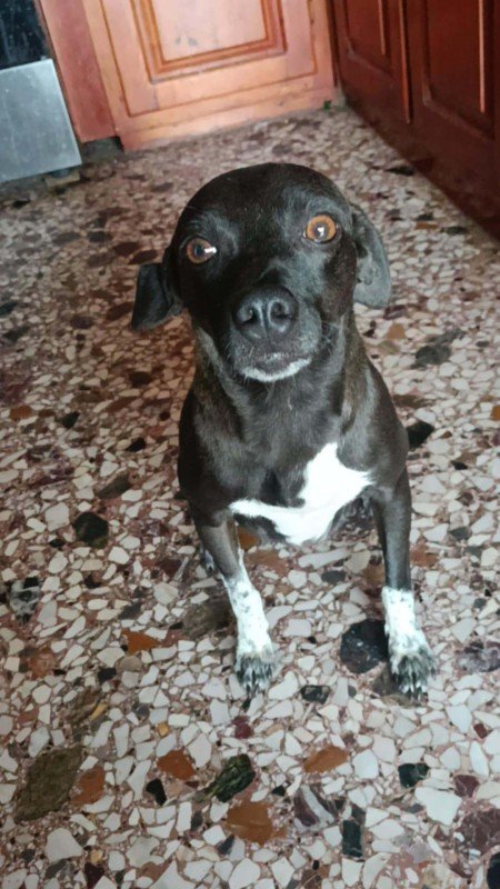 Dotty