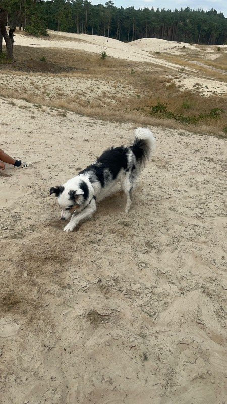 Milo
