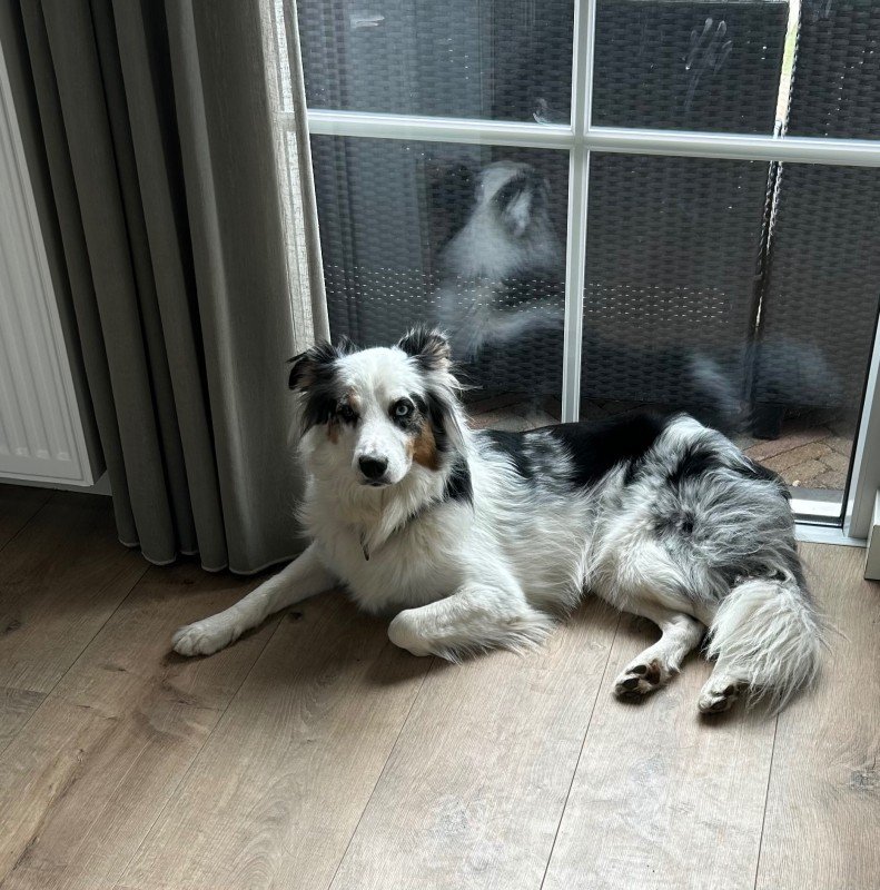 Milo