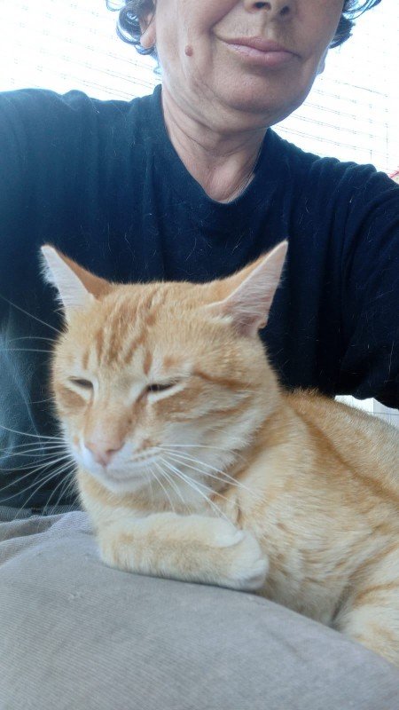 Max