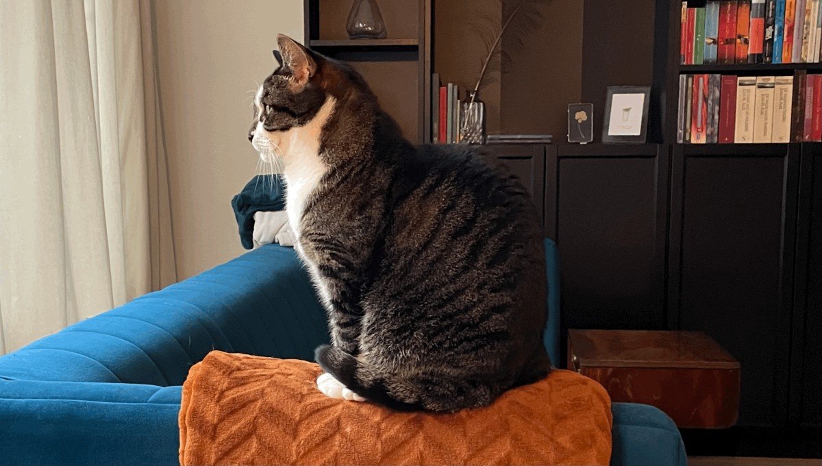 Sam