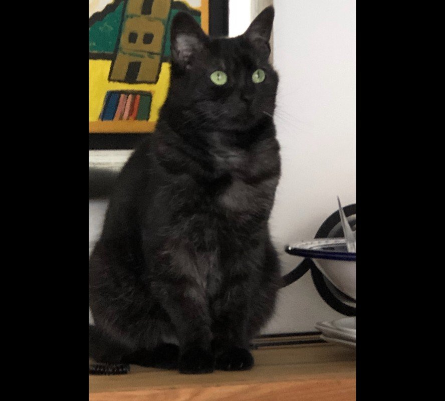 Mimi
