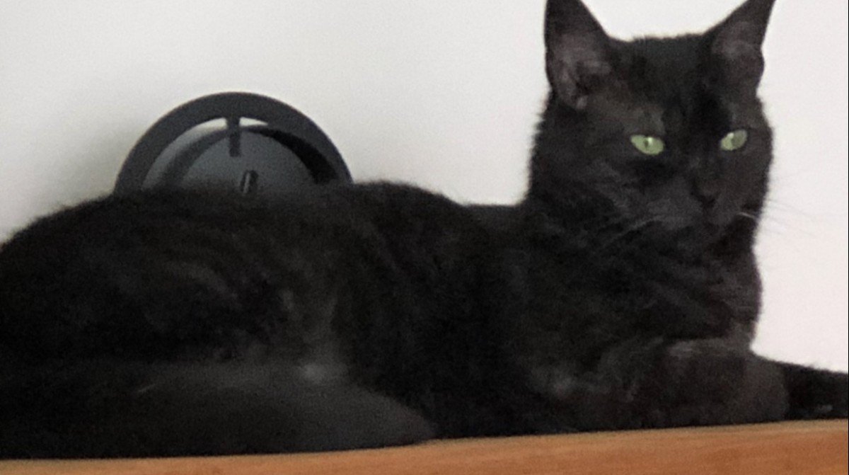 Mimi