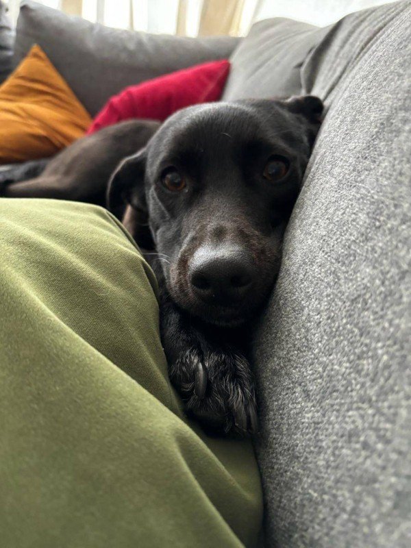 Luna