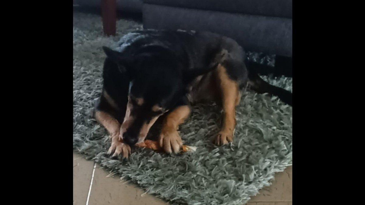 Teun