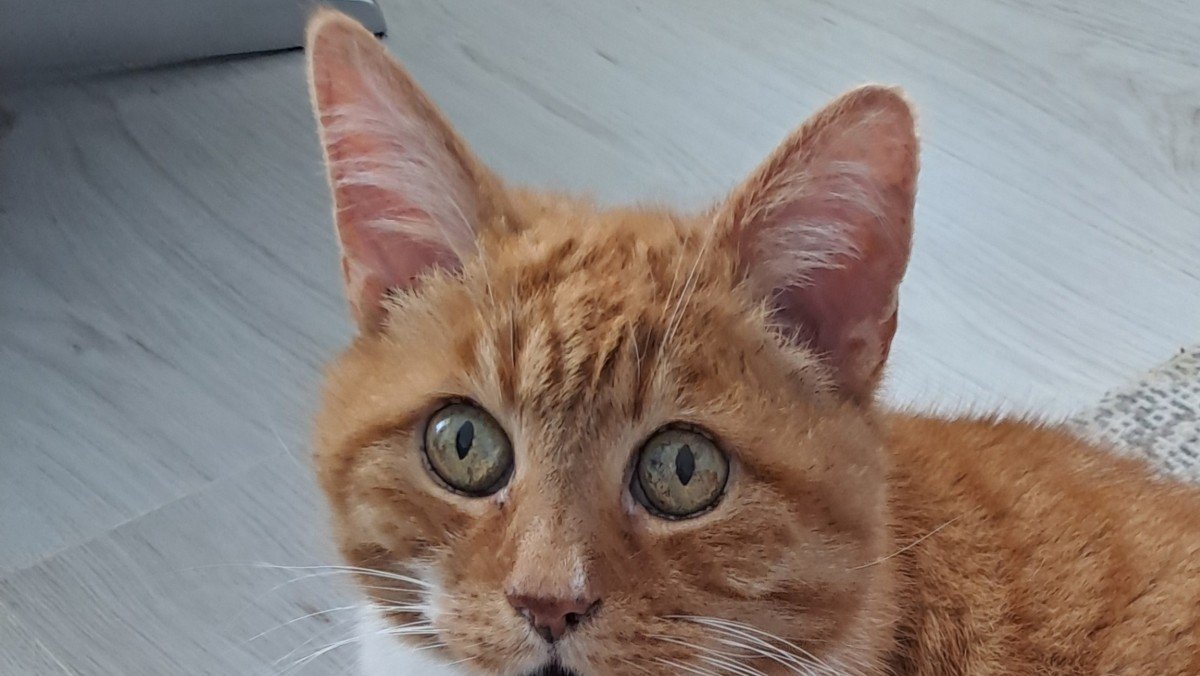 Binky