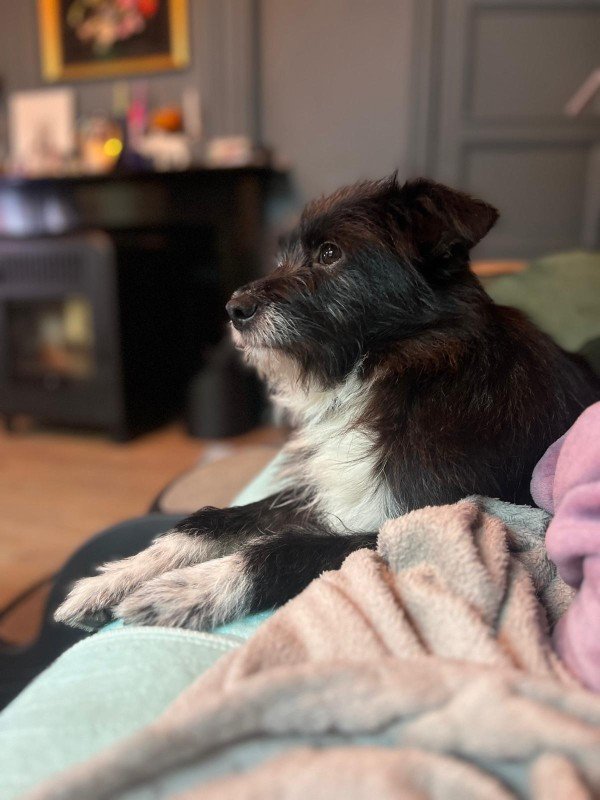 Sammy