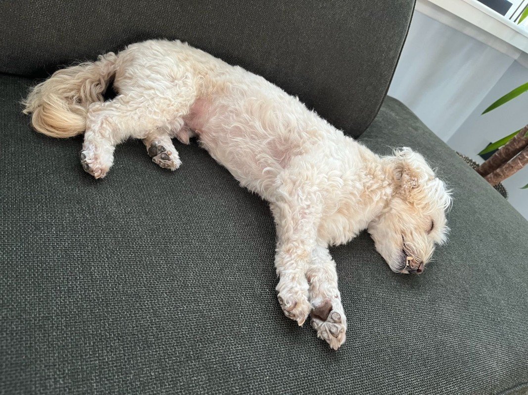 Milo
