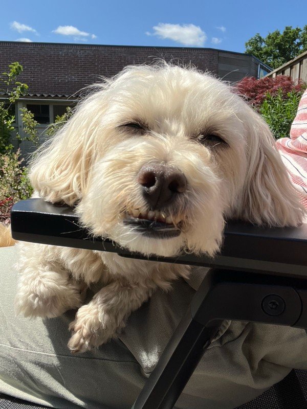 Milo