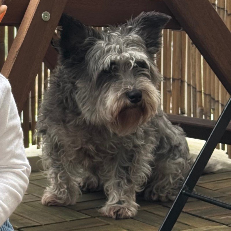 Lila
