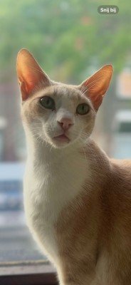 Charlie