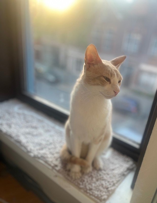 Charlie