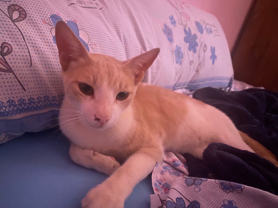 Charlie