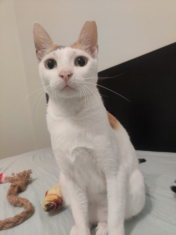 Mia