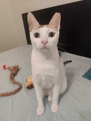 Mia