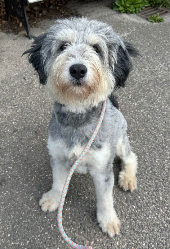 Marley