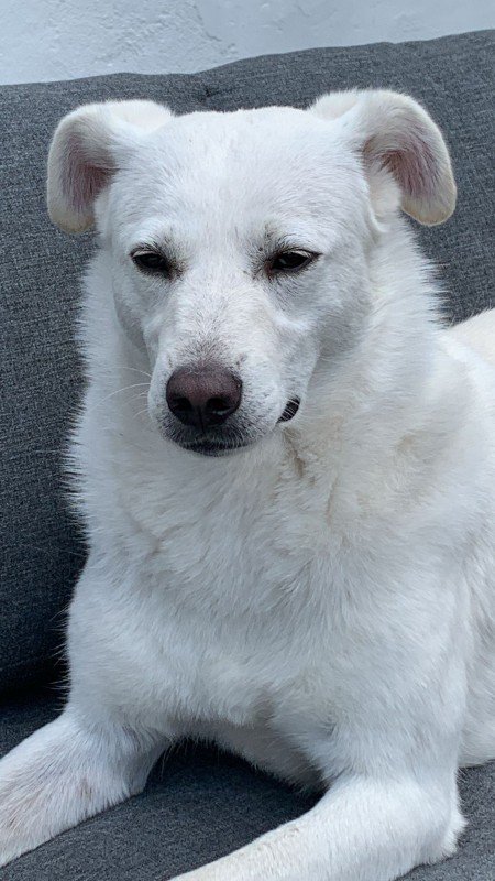 Nina