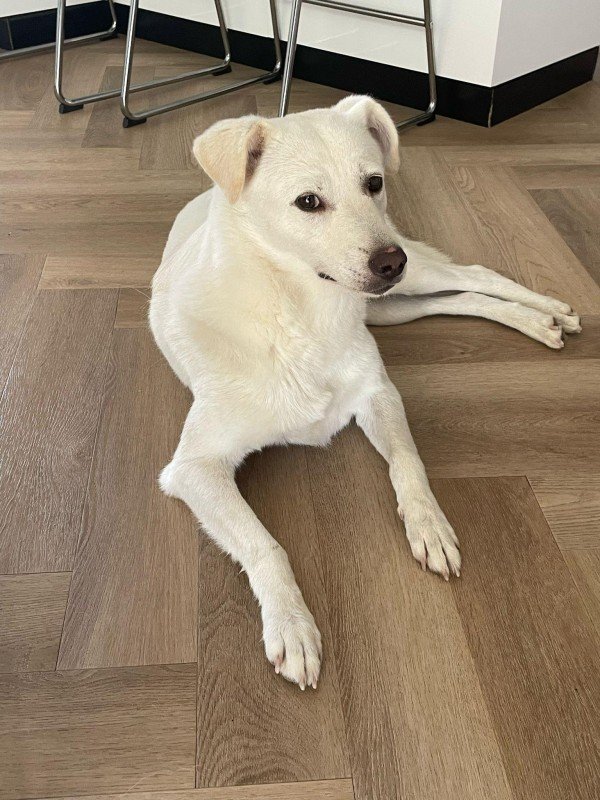 Nina