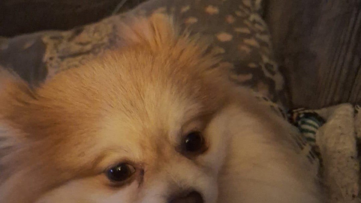 Zoey