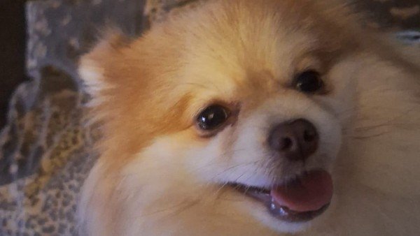 Zoey