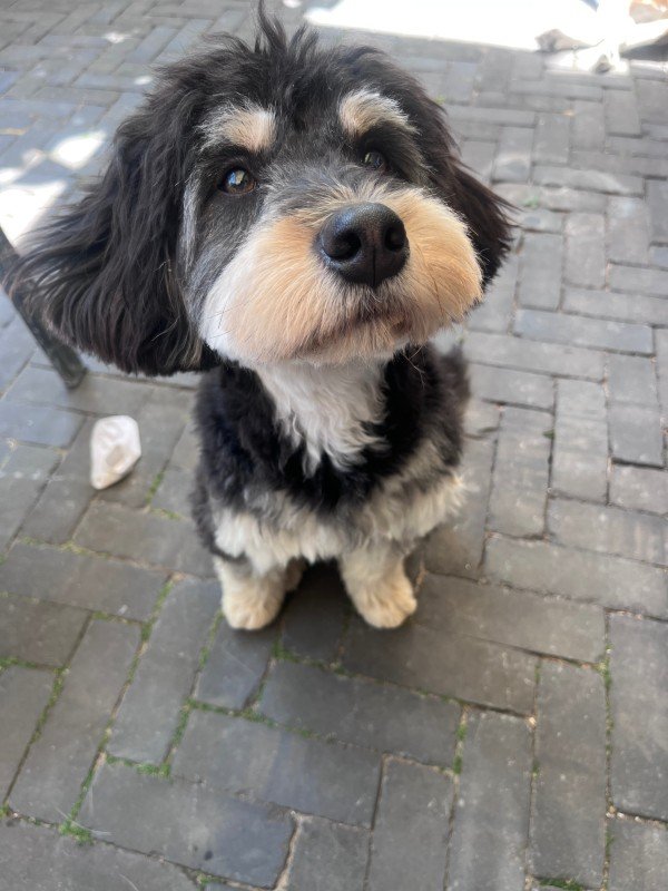 Barry