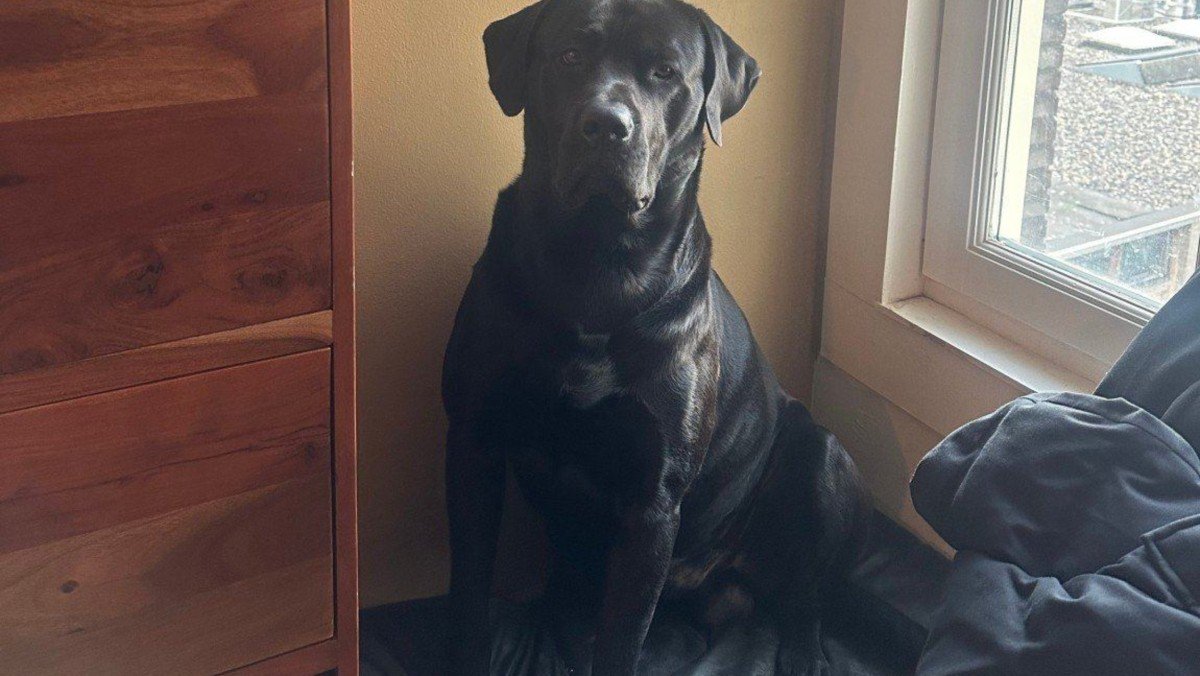 Otto