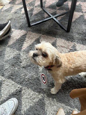Milo