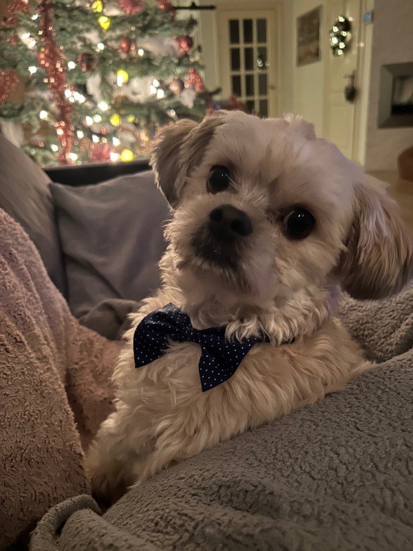Milo