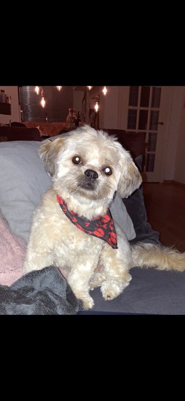 Milo