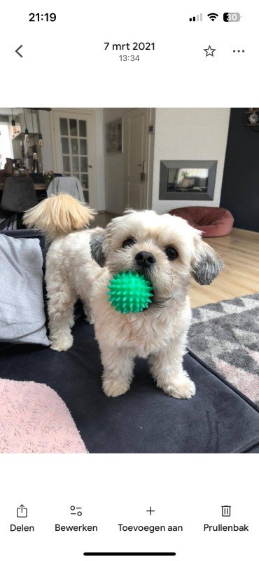 Milo