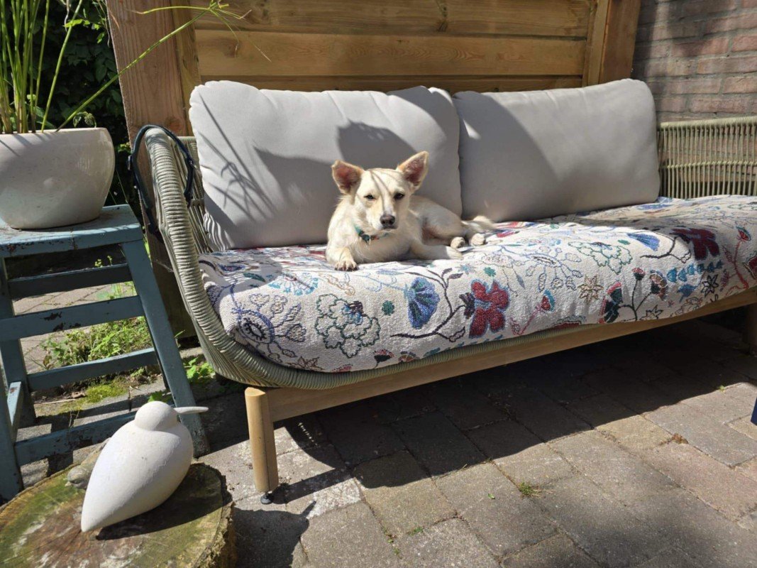 Suki