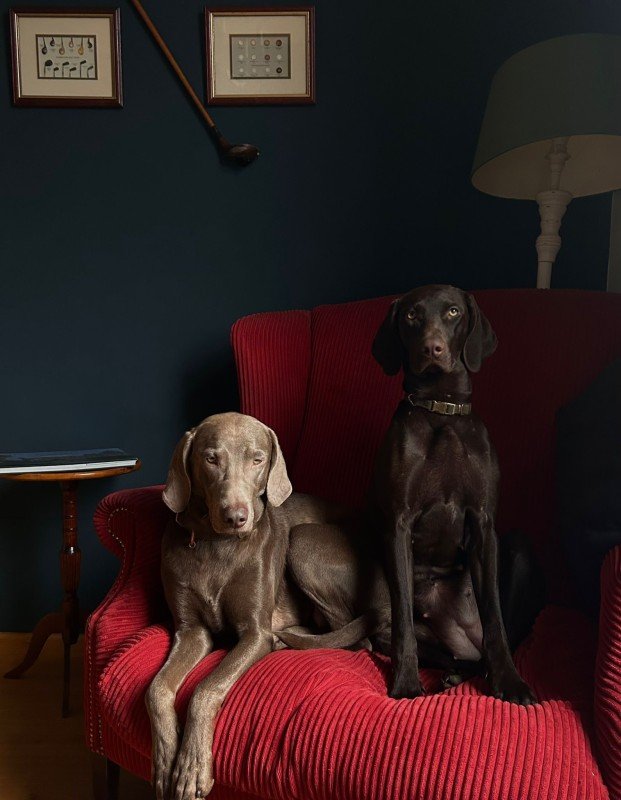 Pien & Ollie