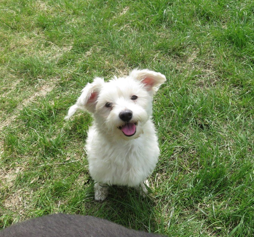 Jimmy