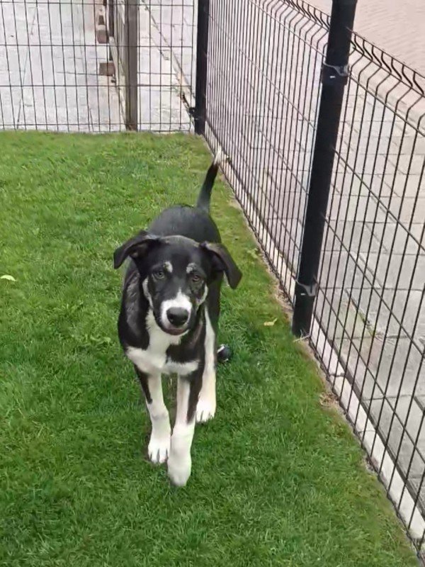 Zina