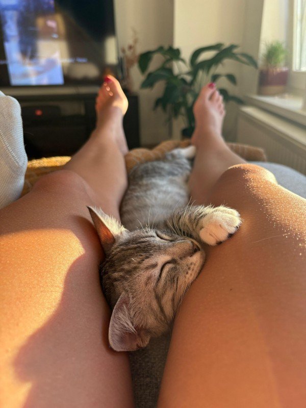 Ava