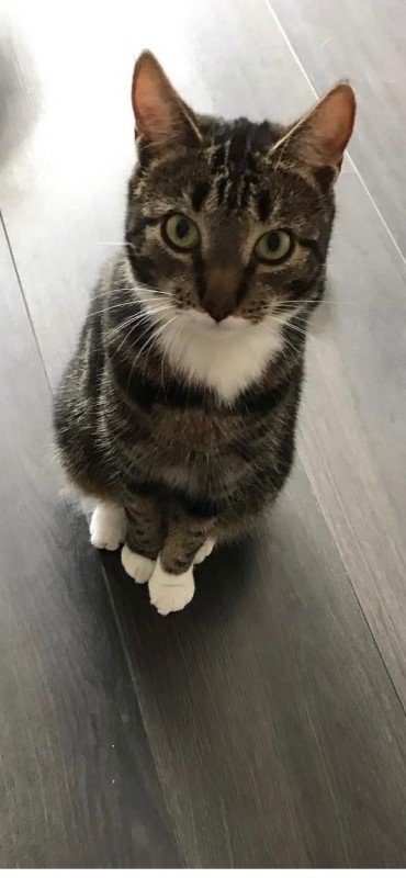 Luna