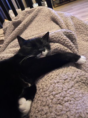 Felix