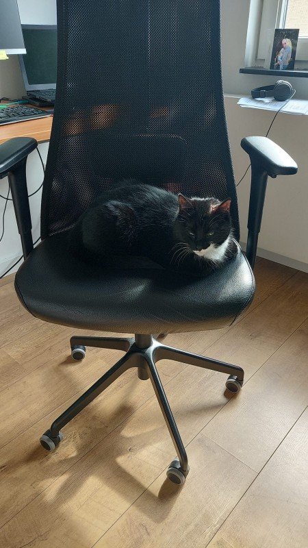 Felix