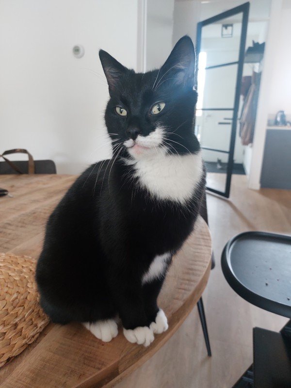 Felix