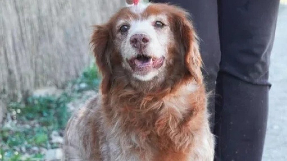 Lluna