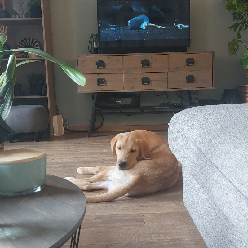 Sully