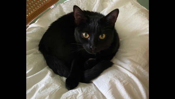 Luna