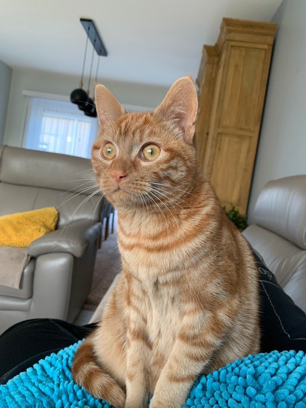 Leo