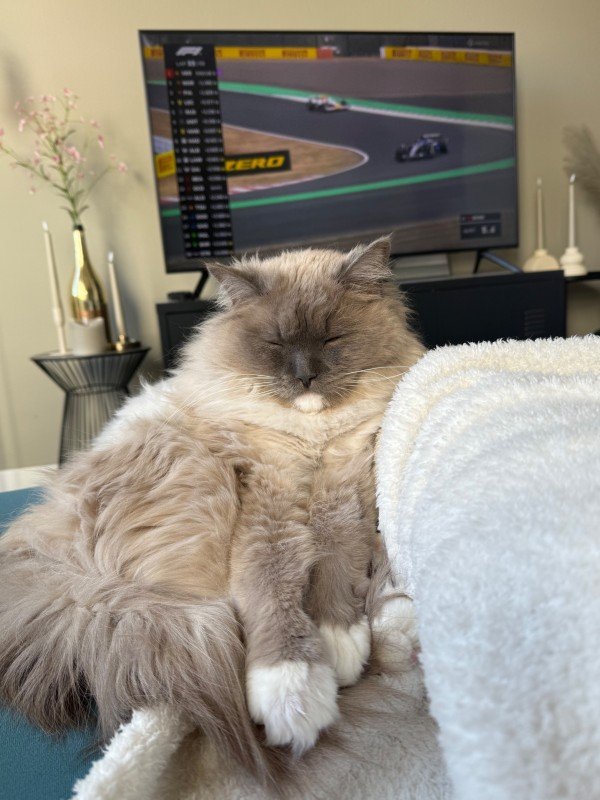 Harvey