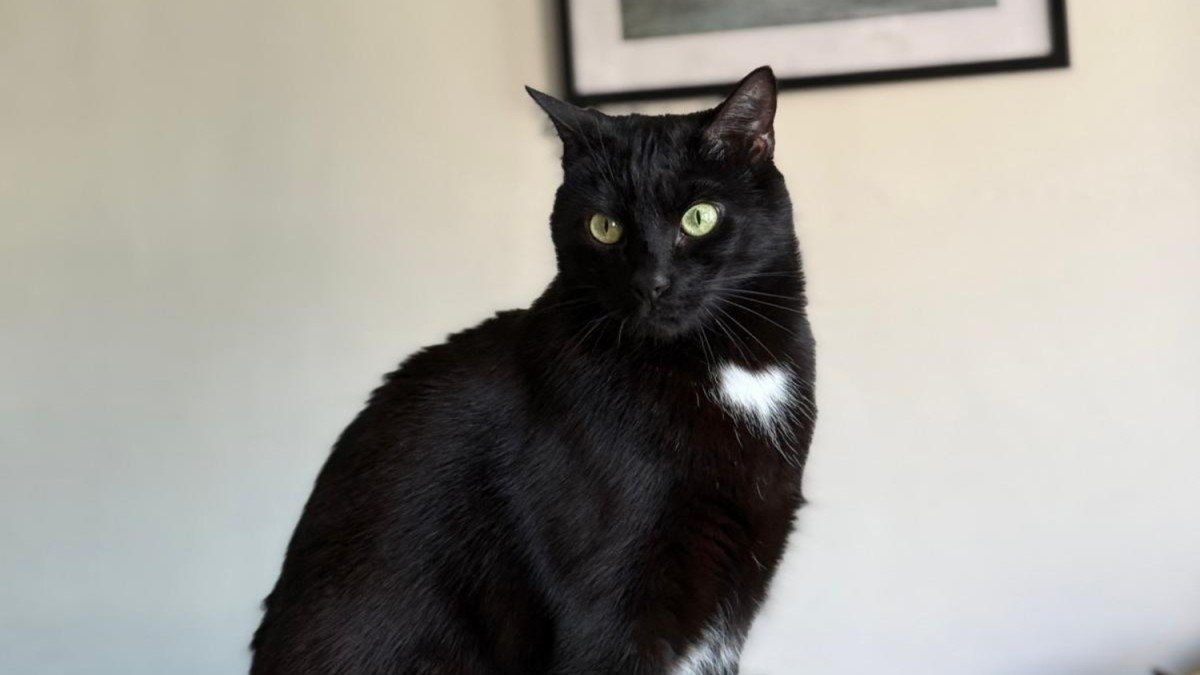 Suki