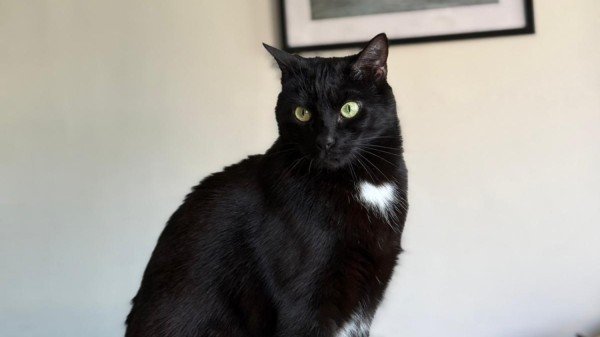 Suki
