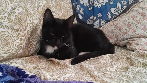 Luna