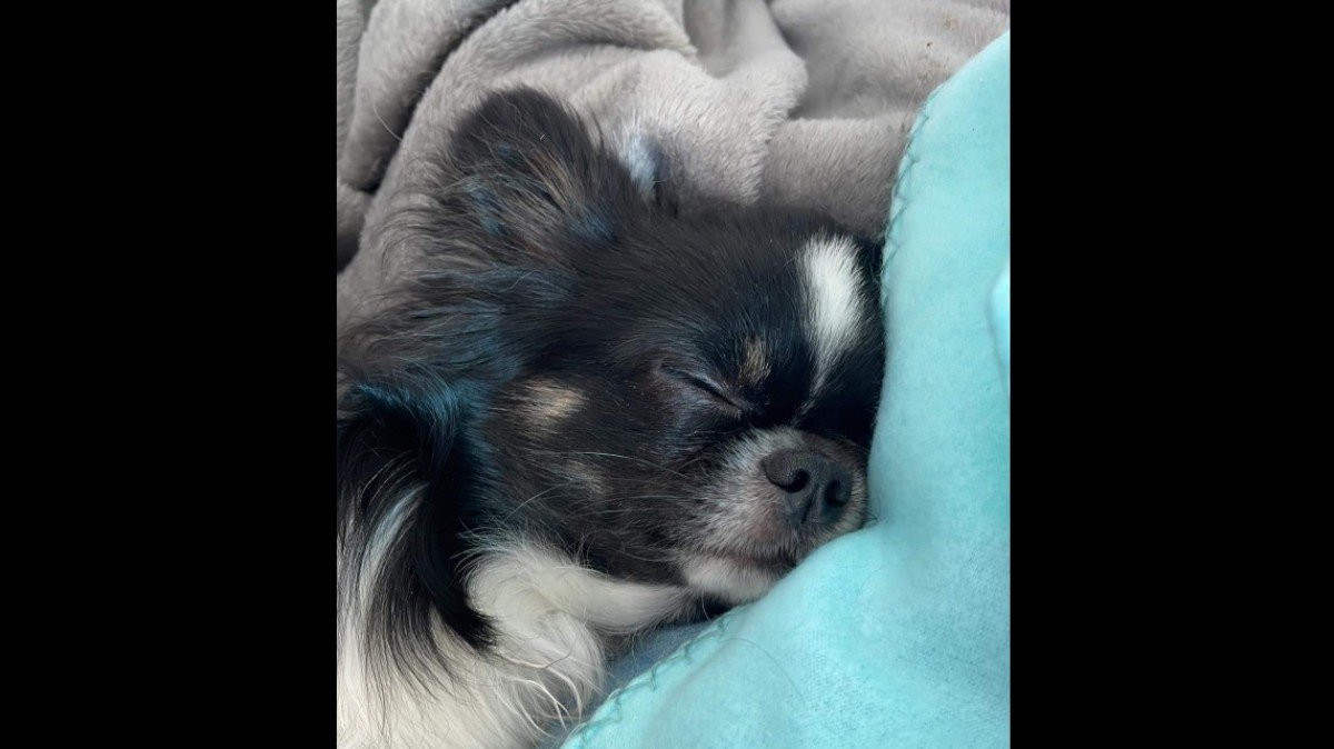 Poquito
