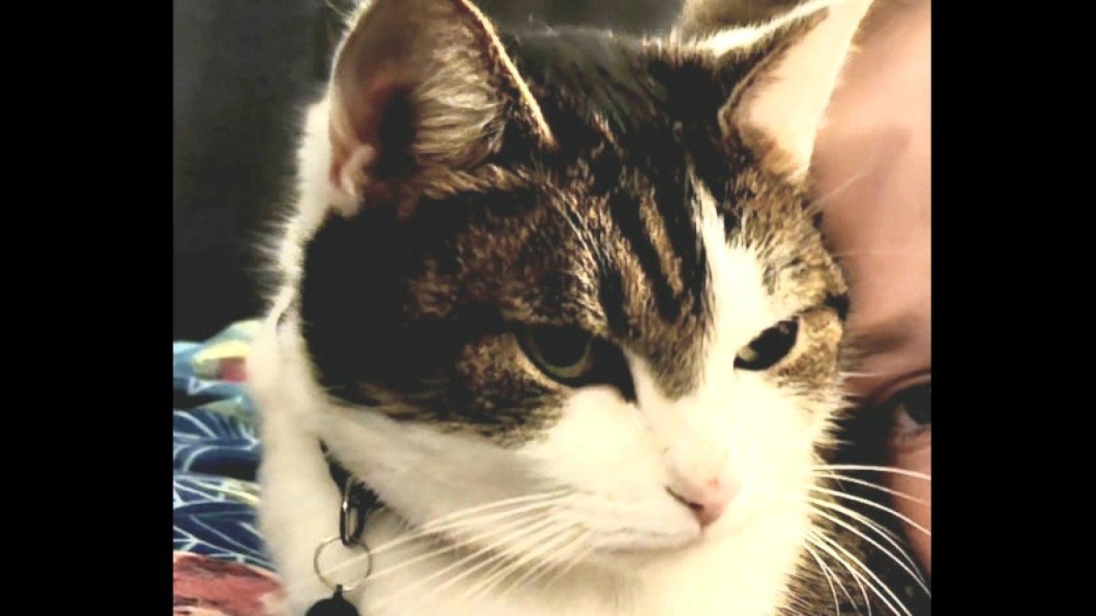 Kiki